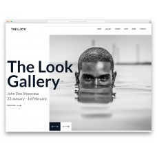 The Look шаблон сайта для фотографа или художника