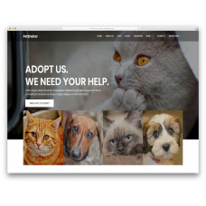 Animal Shelter шаблон для ветеринарной клиники, приюта для животных