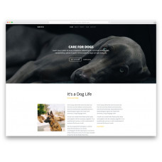 Breed шаблона для сайта или блога о животных